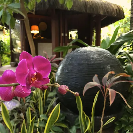 Paua Hotel Boutique-3